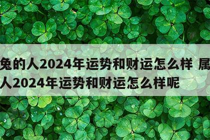 属兔的人2024年运势和财运怎么样 属兔的人2024年运势和财运怎么样呢