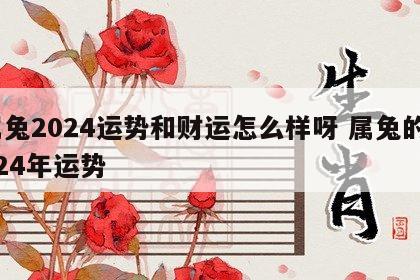 属兔2024运势和财运怎么样呀 属兔的2024年运势