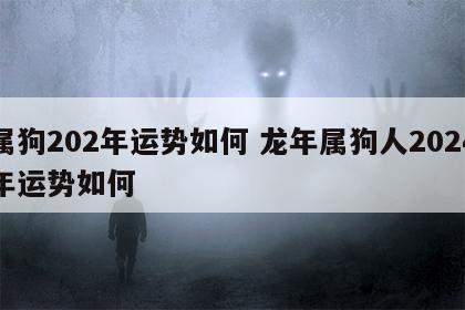 属狗202年运势如何 龙年属狗人2024年运势如何