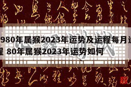 1980年属猴2023年运势及运程每月运程 80年属猴2023年运势如何