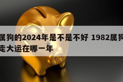 属狗的2024年是不是不好 1982属狗走大运在哪一年