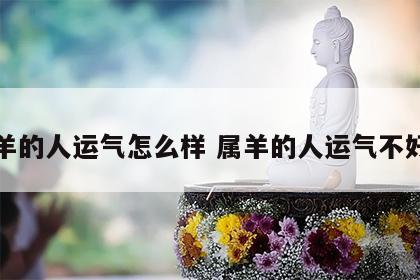 属羊的人运气怎么样 属羊的人运气不好吗