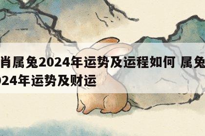 生肖属兔2024年运势及运程如何 属兔人2024年运势及财运