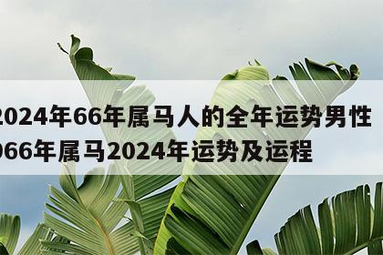 2024年66年属马人的全年运势男性 1966年属马2024年运势及运程