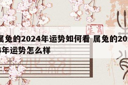 属兔的2024年运势如何看 属兔的2024年运势怎么样