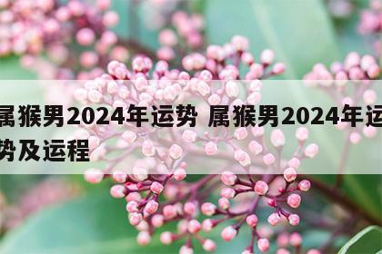 属猴男2024年运势 属猴男2024年运势及运程