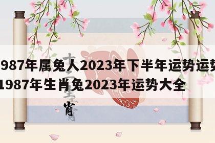 1987年属兔人2023年下半年运势运势 1987年生肖兔2023年运势大全