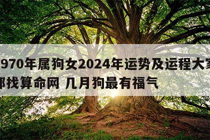 1970年属狗女2024年运势及运程大家都找算命网 几月狗最有福气