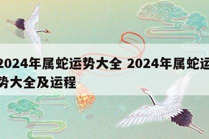 2024年属蛇运势大全 2024年属蛇运势大全及运程