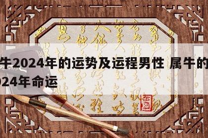 属牛2024年的运势及运程男性 属牛的人2024年命运