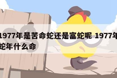 1977年是苦命蛇还是富蛇呢 1977年蛇年什么命