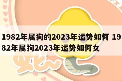 1982年属狗的2023年运势如何 1982年属狗2023年运势如何女