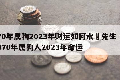 70年属狗2023年财运如何水濹先生 1970年属狗人2023年命运