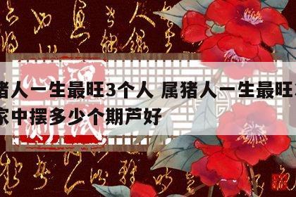 属猪人一生最旺3个人 属猪人一生最旺3个人家中摆多少个期芦好