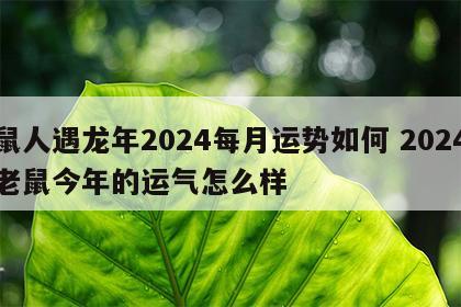 鼠人遇龙年2024每月运势如何 2024老鼠今年的运气怎么样