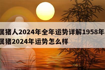 属猪人2024年全年运势详解1958年 属猪2024年运势怎么样