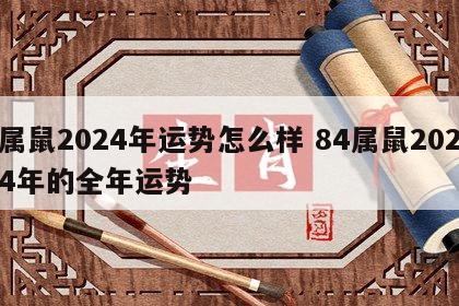 属鼠2024年运势怎么样 84属鼠2024年的全年运势
