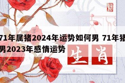71年属猪2024年运势如何男 71年猪男2023年感情运势