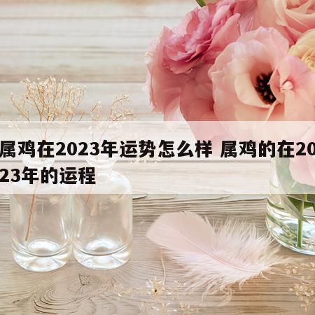 属鸡在2023年运势怎么样 属鸡的在2023年的运程