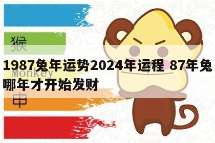1987兔年运势2024年运程 87年兔哪年才开始发财