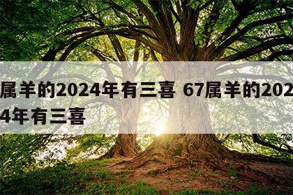 属羊的2024年有三喜 67属羊的2024年有三喜