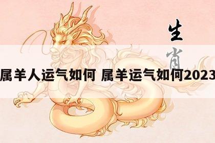 属羊人运气如何 属羊运气如何2023