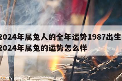 2024年属兔人的全年运势1987出生 2024年属兔的运势怎么样