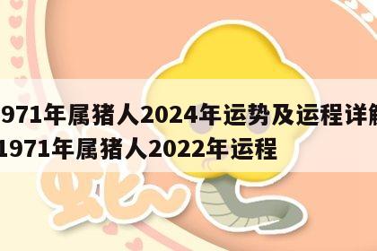 1971年属猪人2024年运势及运程详解 1971年属猪人2022年运程