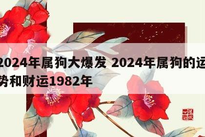 2024年属狗大爆发 2024年属狗的运势和财运1982年