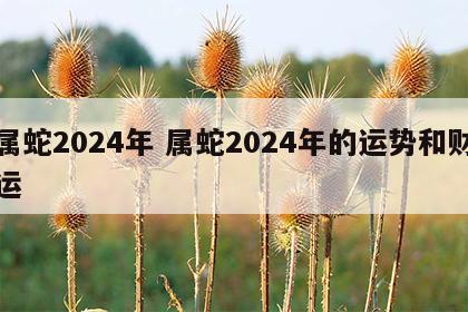 属蛇2024年 属蛇2024年的运势和财运