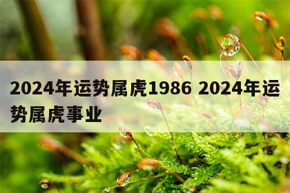 2024年运势属虎1986 2024年运势属虎事业