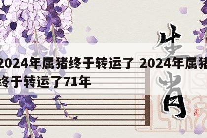 2024年属猪终于转运了 2024年属猪终于转运了71年