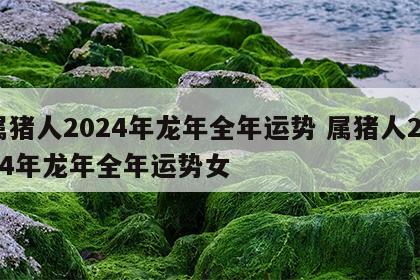 属猪人2024年龙年全年运势 属猪人2024年龙年全年运势女