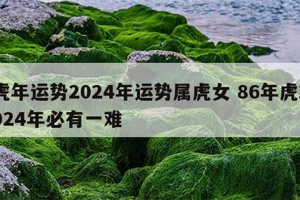 虎年运势2024年运势属虎女 86年虎2024年必有一难