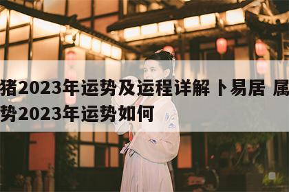 属猪2023年运势及运程详解卜易居 属猪运势2023年运势如何