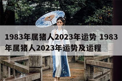 1983年属猪人2023年运势 1983年属猪人2023年运势及运程
