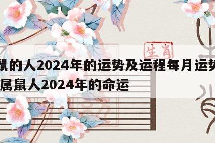属鼠的人2024年的运势及运程每月运势如何 属鼠人2024年的命运