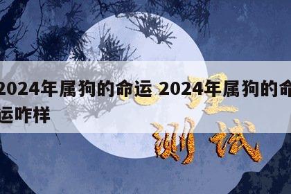 2024年属狗的命运 2024年属狗的命运咋样