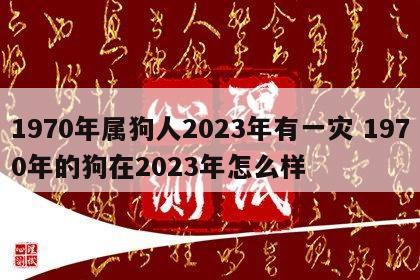 1970年属狗人2023年有一灾 1970年的狗在2023年怎么样