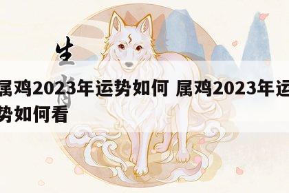 属鸡2023年运势如何 属鸡2023年运势如何看