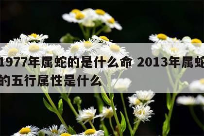 1977年属蛇的是什么命 2013年属蛇的五行属性是什么