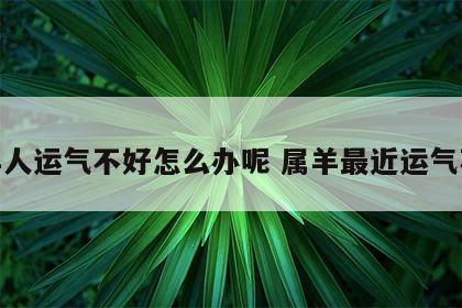 属羊人运气不好怎么办呢 属羊最近运气不好