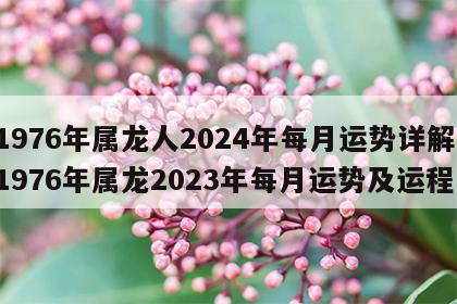 1976年属龙人2024年每月运势详解 1976年属龙2023年每月运势及运程