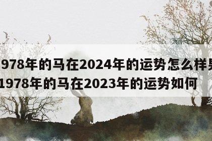 1978年的马在2024年的运势怎么样男 1978年的马在2023年的运势如何