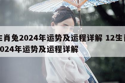 生肖兔2024年运势及运程详解 12生肖2024年运势及运程详解