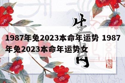 1987年兔2023本命年运势 1987年兔2023本命年运势女