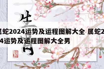 属蛇2024运势及运程图解大全 属蛇2024运势及运程图解大全男