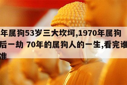 70年属狗53岁三大坎坷,1970年属狗最后一劫 70年的属狗人的一生,看完谁不说准