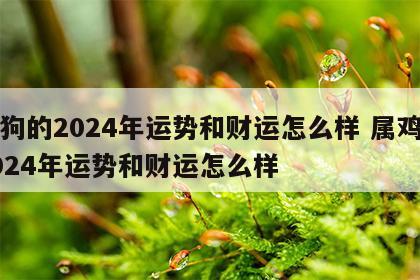 属狗的2024年运势和财运怎么样 属鸡的2024年运势和财运怎么样