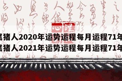属猪人2020年运势运程每月运程71年 属猪人2021年运势运程每月运程71年